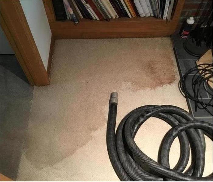 photo of carpet with water stain